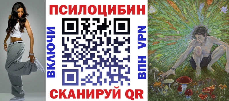 купить   Ленинск-Кузнецкий  Псилоцибиновые грибы мицелий 