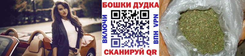 Конопля гибрид  Ленинск-Кузнецкий 